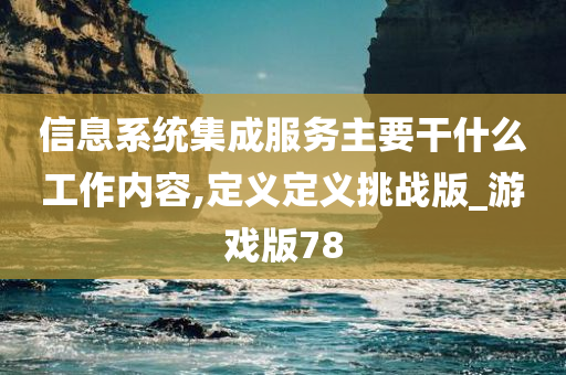 信息系统集成服务主要干什么工作内容,定义定义挑战版_游戏版78