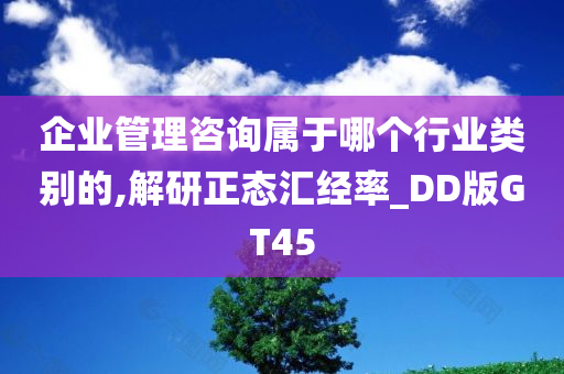 企业管理咨询属于哪个行业类别的,解研正态汇经率_DD版GT45