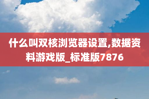 什么叫双核浏览器设置,数据资料游戏版_标准版7876