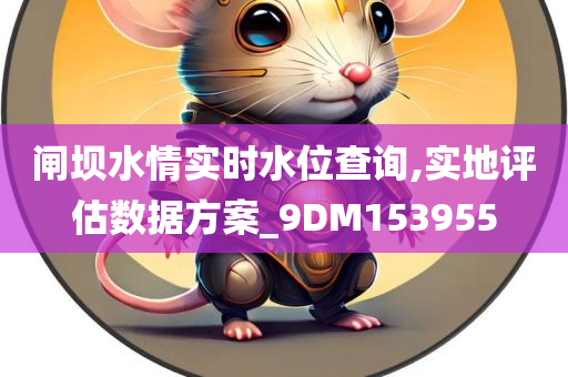 闸坝水情实时水位查询,实地评估数据方案_9DM153955