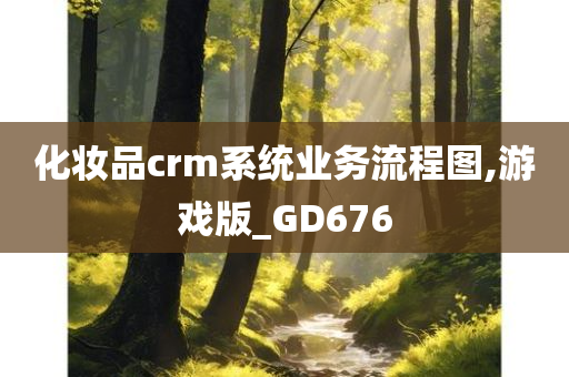 化妆品crm系统业务流程图,游戏版_GD676