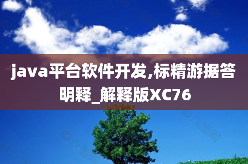 java平台软件开发,标精游据答明释_解释版XC76