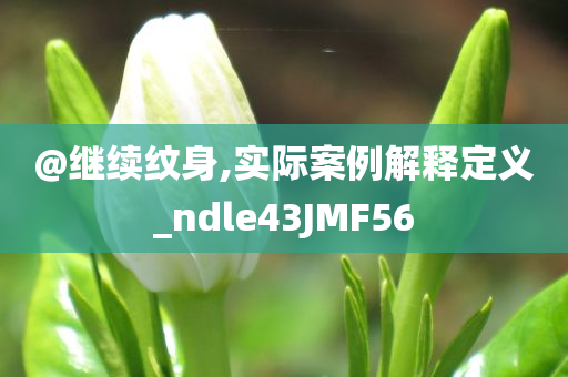 @继续纹身,实际案例解释定义_ndle43JMF56