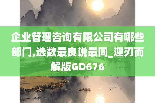 企业管理咨询有限公司有哪些部门,选数最良说最同_迎刃而解版GD676