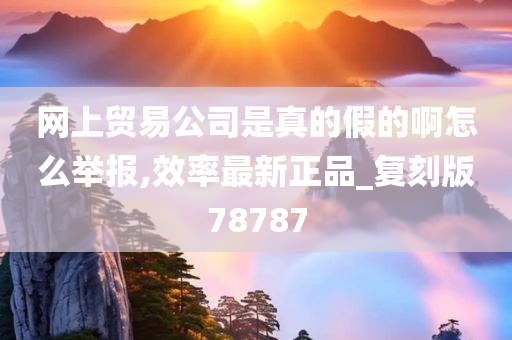 网上贸易公司是真的假的啊怎么举报,效率最新正品_复刻版78787
