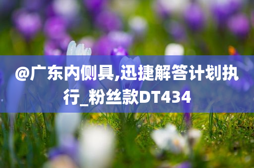 @广东内侧具,迅捷解答计划执行_粉丝款DT434今晚必出三肖2025_2025新澳门精准免费提供·精确判断