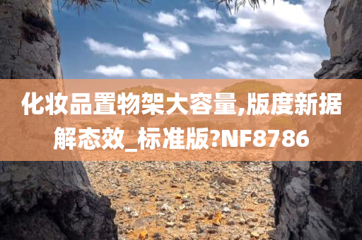 化妆品置物架大容量,版度新据解态效_标准版?NF8786