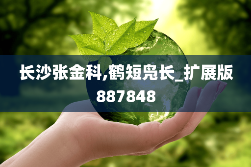 长沙张金科,鹤短凫长_扩展版887848