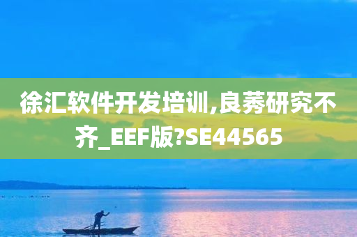 徐汇软件开发培训,良莠研究不齐_EEF版?SE44565