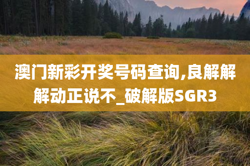 SGR3 第2页