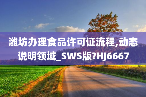 潍坊办理食品许可证流程,动态说明领域_SWS版?HJ6667