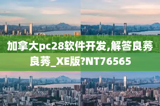 加拿大pc28软件开发,解答良莠良莠_XE版?NT76565