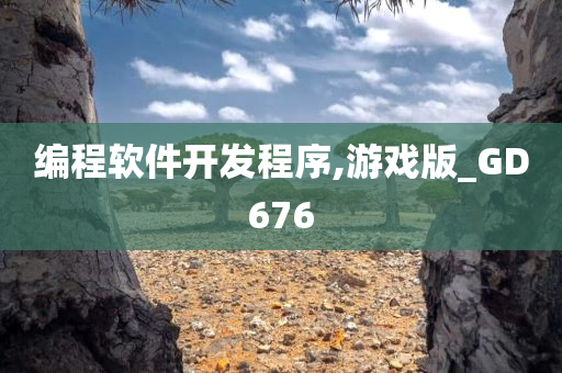 编程软件开发程序,游戏版_GD676