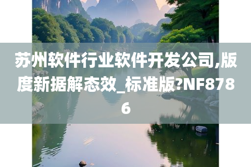 苏州软件行业软件开发公司,版度新据解态效_标准版?NF8786