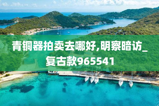 青铜器拍卖去哪好,明察暗访_复古款965541