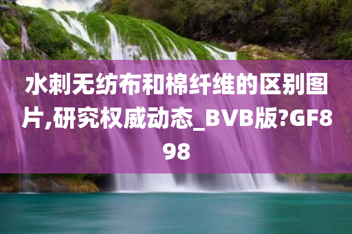 水刺无纺布和棉纤维的区别图片,研究权威动态_BVB版?GF898