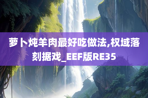 萝卜炖羊肉