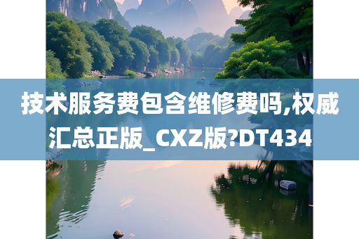 技术服务费包含维修费吗,权威汇总正版_CXZ版?DT434