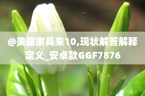 @美屋家具来10,现状解答解释定义_安卓款GGF7876