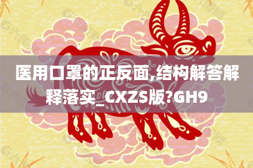 医用口罩的正反面,结构解答解释落实_CXZS版?GH9