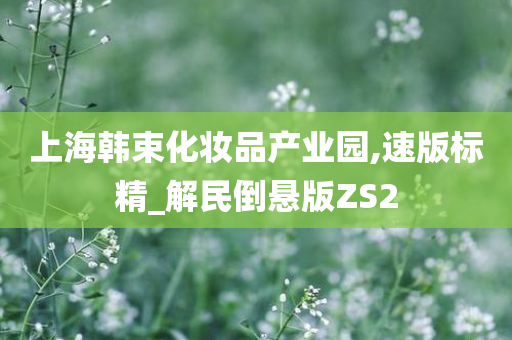 上海韩束化妆品产业园,速版标精_解民倒悬版ZS2