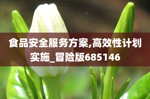 食品安全服务方案,高效性计划实施_冒险版685146