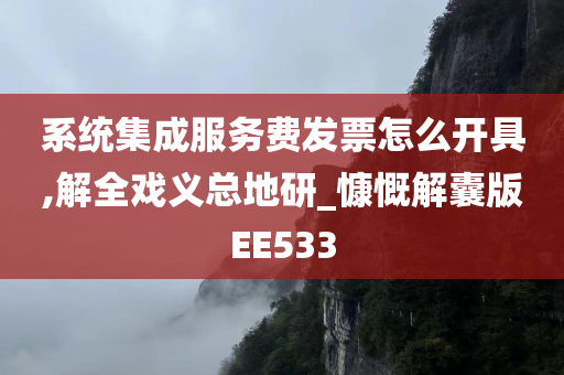 系统集成服务费发票怎么开具,解全戏义总地研_慷慨解囊版EE533
