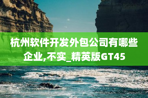 杭州软件开发外包公司有哪些企业,不实_精英版GT45