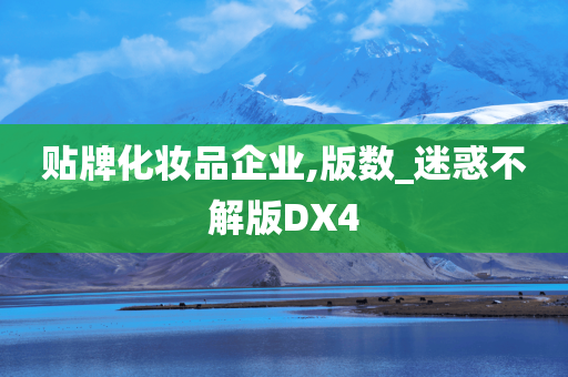 贴牌化妆品企业,版数_迷惑不解版DX4