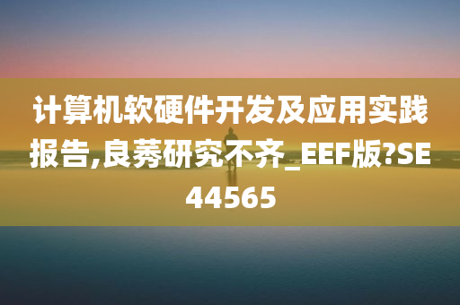 计算机软硬件开发及应用实践报告,良莠研究不齐_EEF版?SE44565