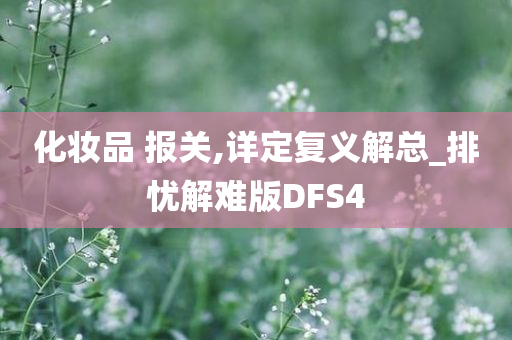 化妆品 报关,详定复义解总_排忧解难版DFS4