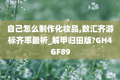 自己怎么制作化妆品,数汇齐游标齐率最析_解甲归田版?GH4GF89