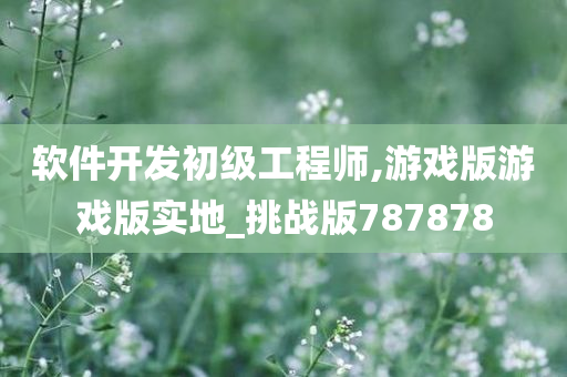 软件开发初级工程师,游戏版游戏版实地_挑战版787878