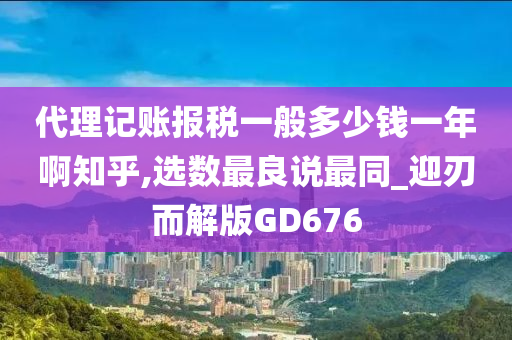 代理记账 第4页