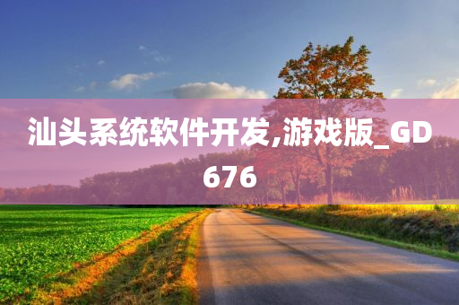 汕头系统软件开发,游戏版_GD676