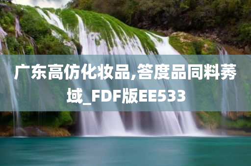 广东高仿化妆品,答度品同料莠域_FDF版EE533