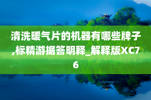 清洗暖气片的机器有哪些牌子,标精游据答明释_解释版XC76