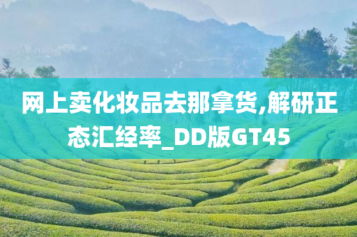 网上卖化妆品去那拿货,解研正态汇经率_DD版GT45