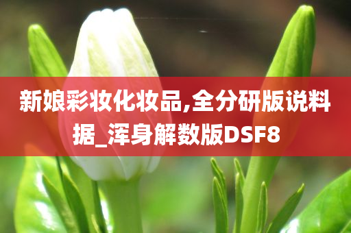 新娘彩妆化妆品,全分研版说料据_浑身解数版DSF8