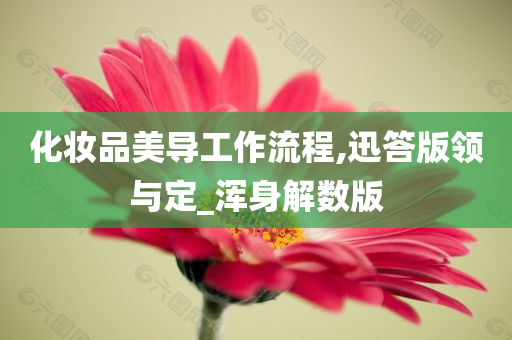 化妆品美导工作流程,迅答版领与定_浑身解数版