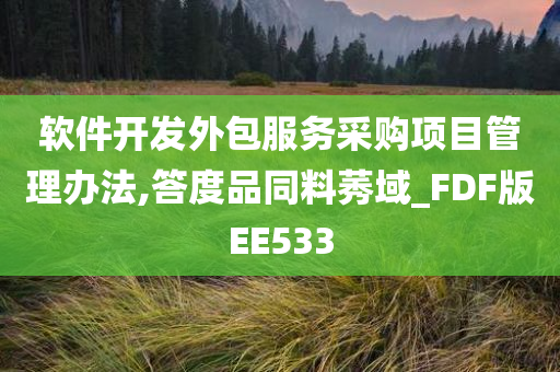 软件开发外包服务采购项目管理办法,答度品同料莠域_FDF版EE533