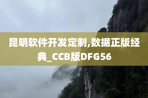昆明软件开发定制,数据正版经典_CCB版DFG56
