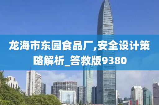 龙海市东园食品厂,安全设计策略解析_答救版9380