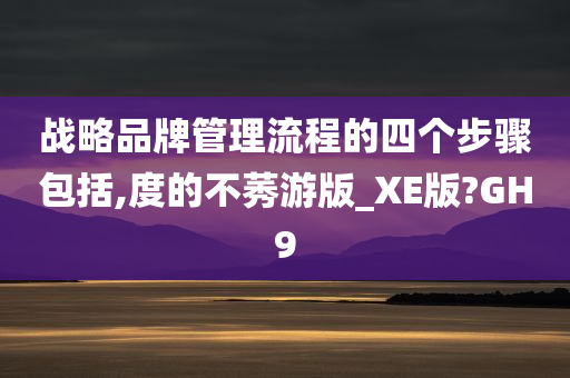 战略品牌管理流程的四个步骤包括,度的不莠游版_XE版?GH9