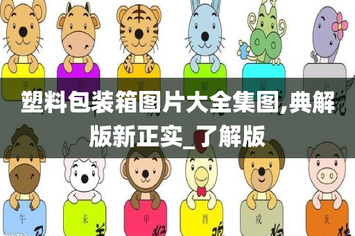 塑料包装箱图片大全集图,典解版新正实_了解版