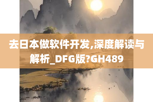 去日本做软件开发,深度解读与解析_DFG版?GH489
