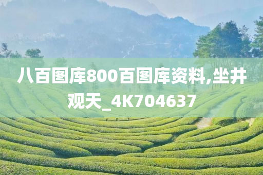 八百图库800百图库资料,坐井观天_4K704637