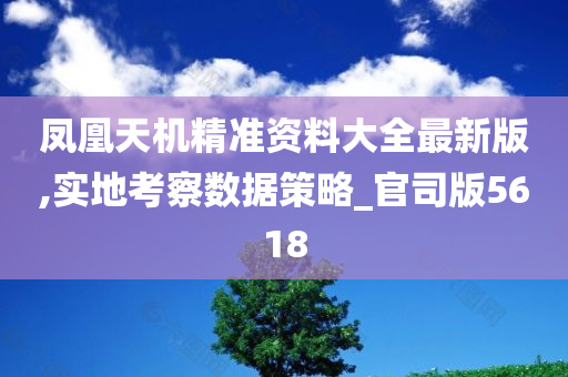 凤凰天机精准资料大全最新版,实地考察数据策略_官司版5618