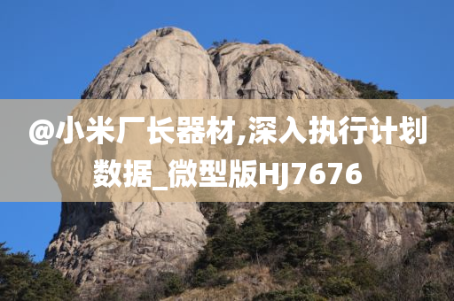 @小米厂长器材,深入执行计划数据_微型版HJ7676