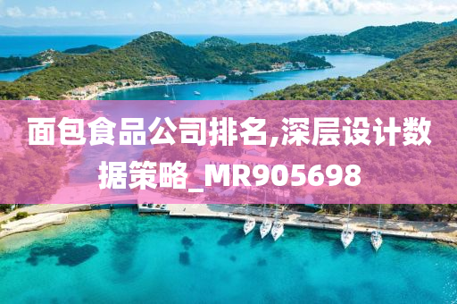 面包食品公司排名,深层设计数据策略_MR905698